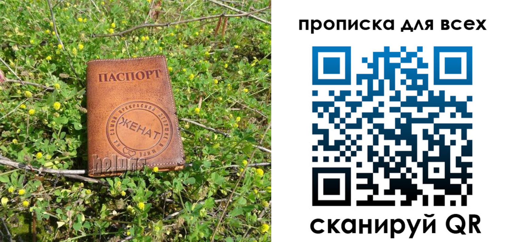 прописка поиск в Ипатово